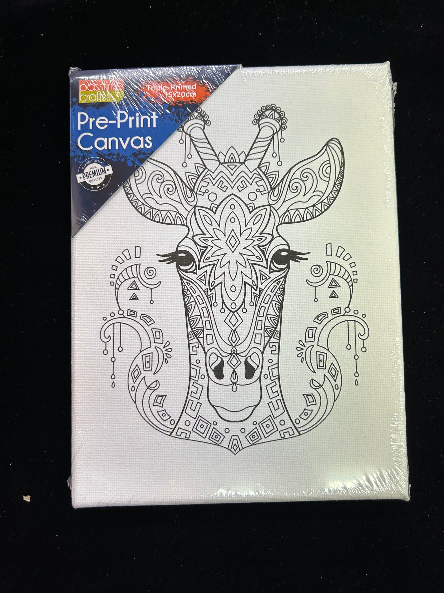 Colour in Canvas Craft