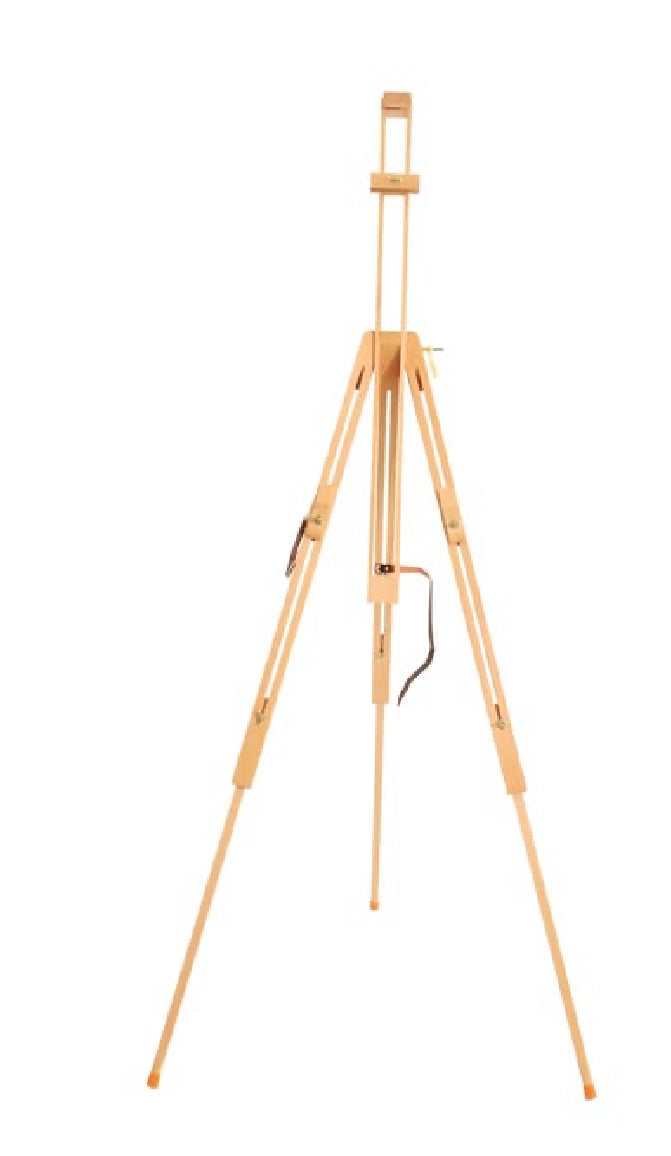 Winsor and Newton Field Easel