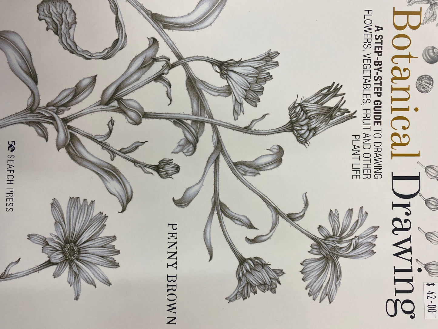Botanical Drawing