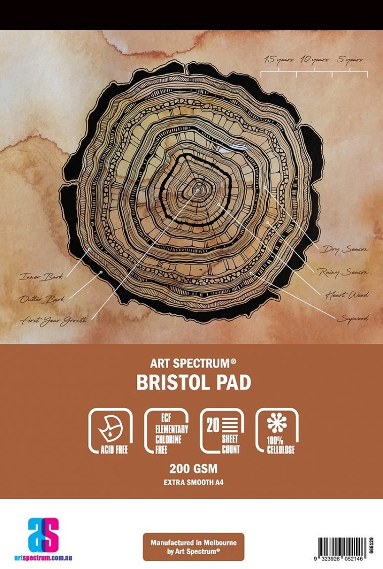 Bristol Paper Paper Pad A4 200gsm 20 Sheets