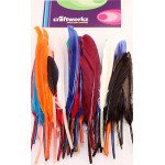 Goose Feathers Multi