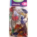 Polka Dot Feathers Multi