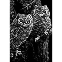 Scratchboard Single Sheet