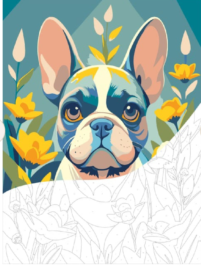 Paint By Numbers Stretched Canvas