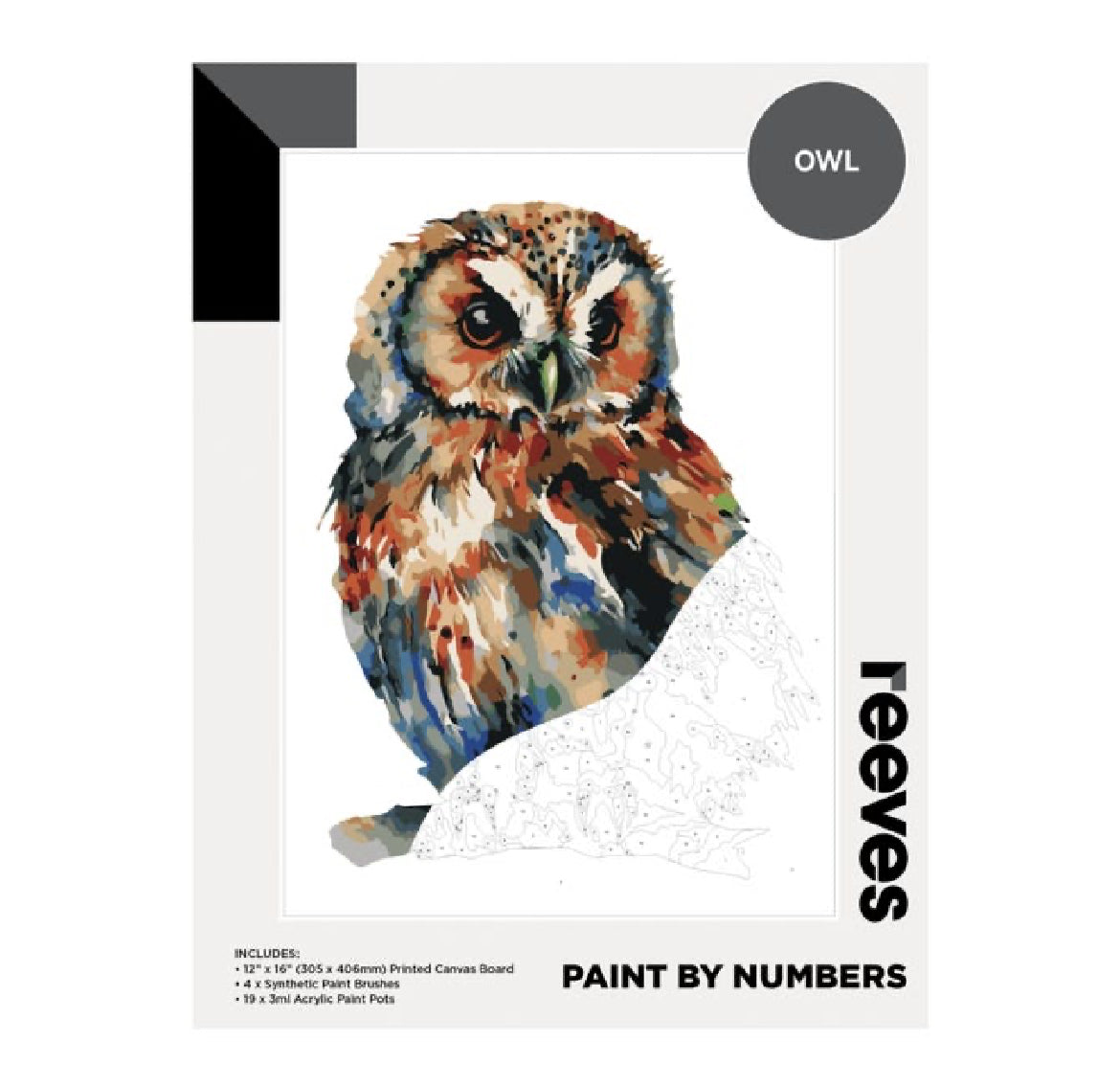 Owl Paint by numbers