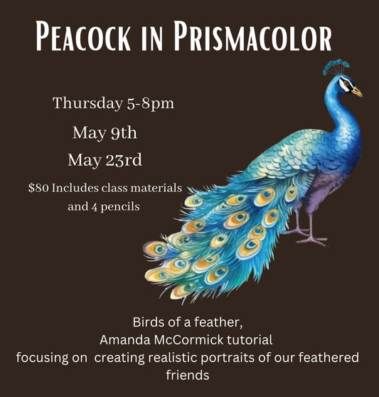 Peacock in Prismacolor Workshop