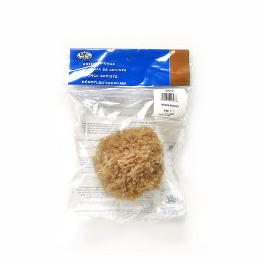 Sea Sponge 5"