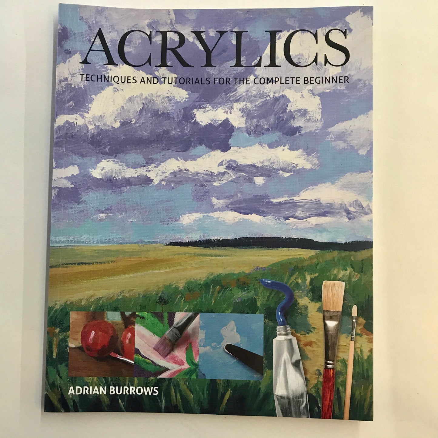 Acrylics - Techniques and tutorials for complete beginners