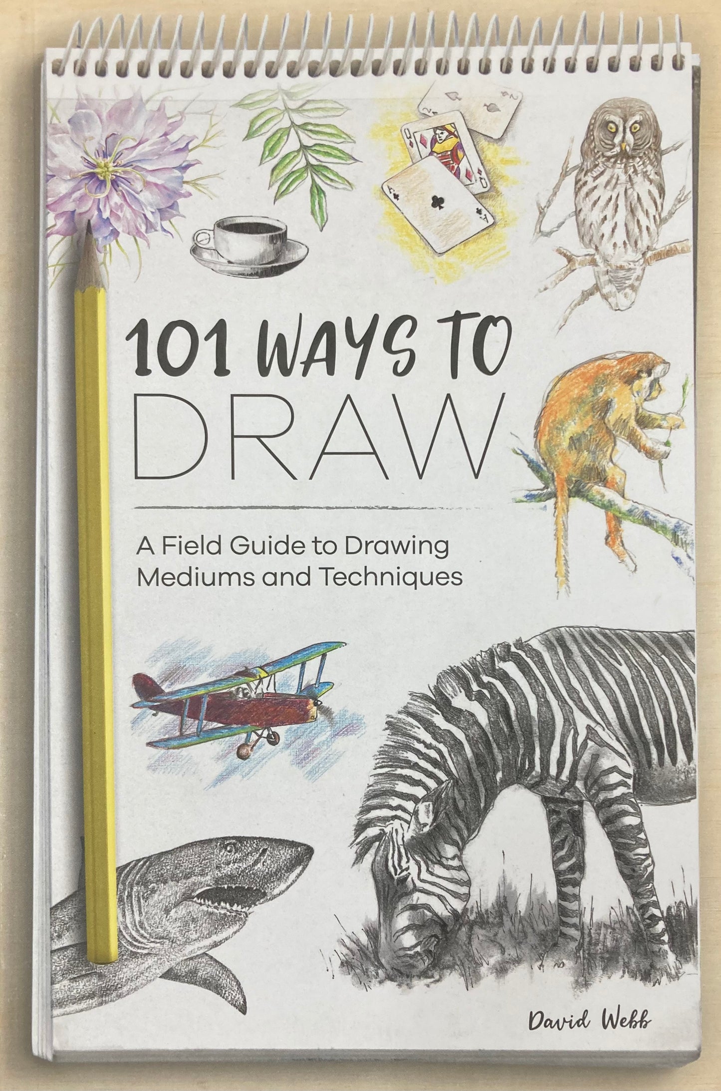 101 Ways to Draw by David Webb