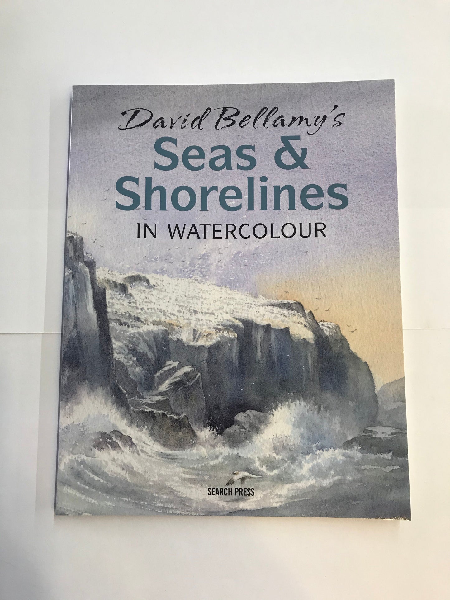 David Bellamy's Seas and Shorelines in Watercolour